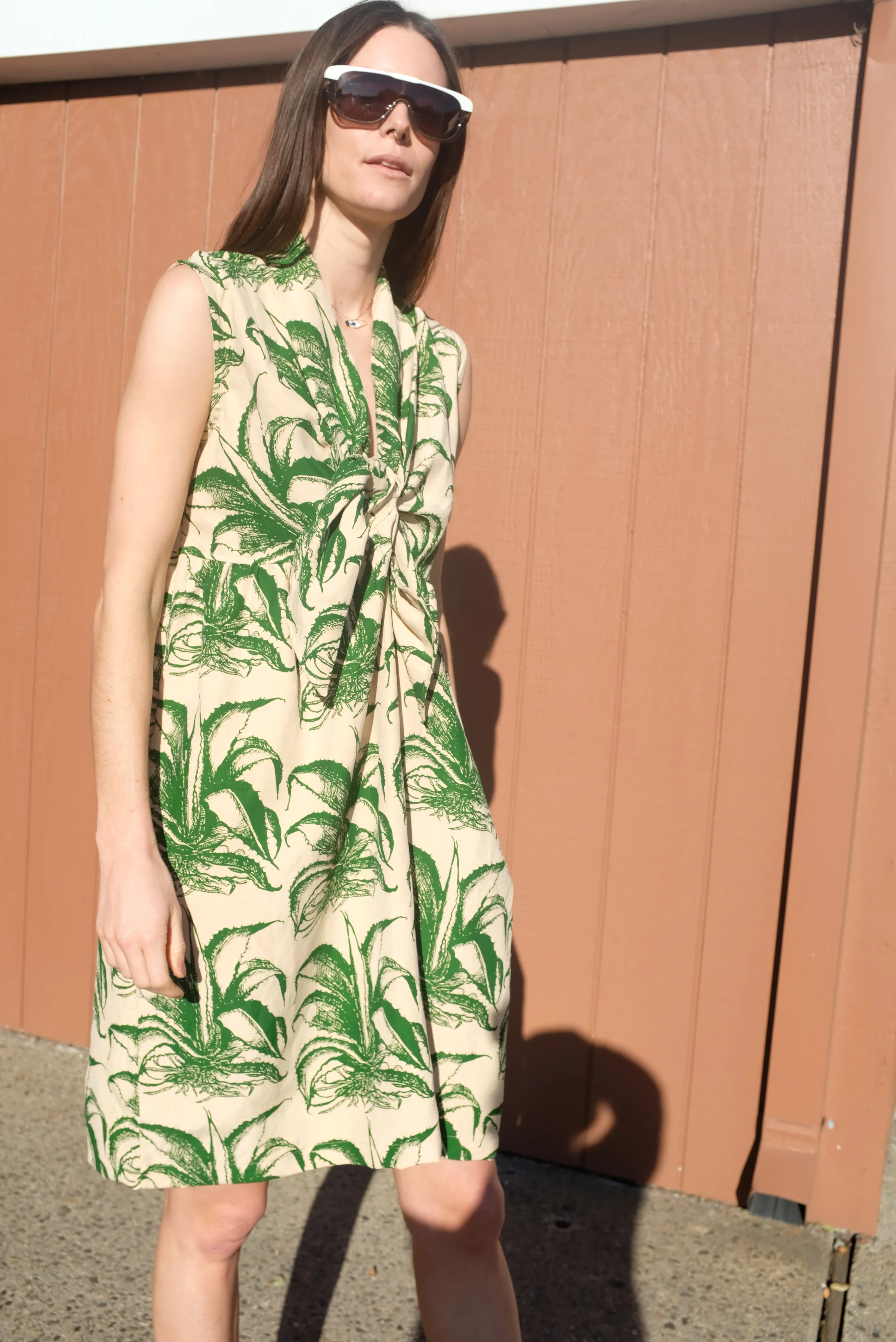 Beklina Nuevo Famoso Dress Aloe Print