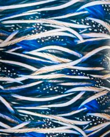 Bottom Sunkini In 2 Colors | Blue Feathers & Navy
