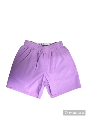 Meripex Men's Lilac Hybrid Shorts